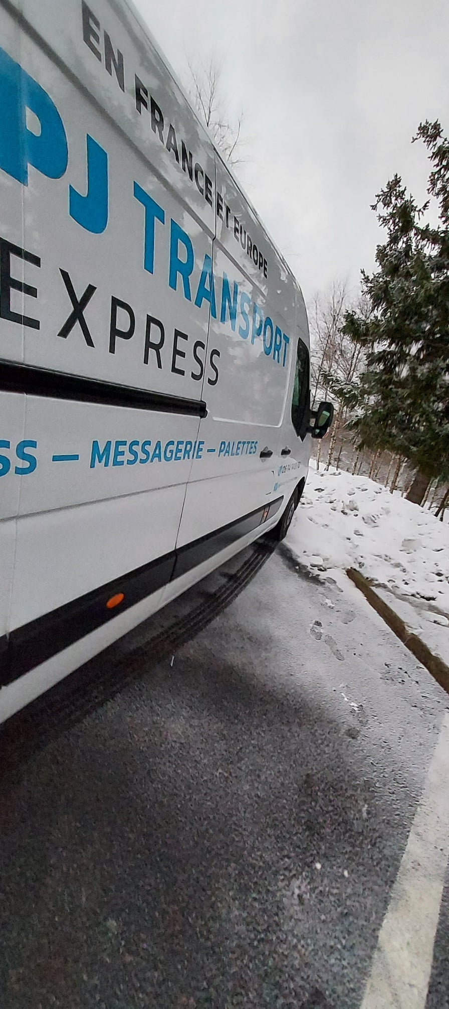 263534048-267534085404251-4233356638017310827-n