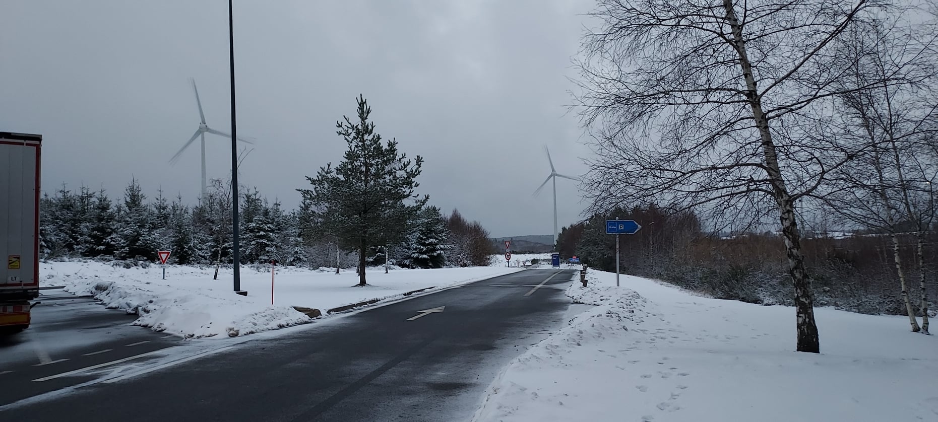 263559982-267534048737588-930383756831556049-n